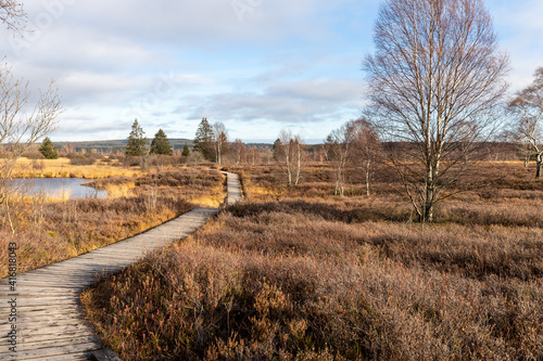 Obraz na plátně Boardwalk thought the moorland of the high fens in Belgium