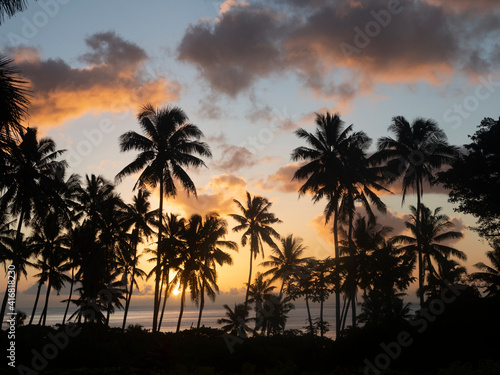 Fiji  Taveuni Island. Beach sunset with palm trees.