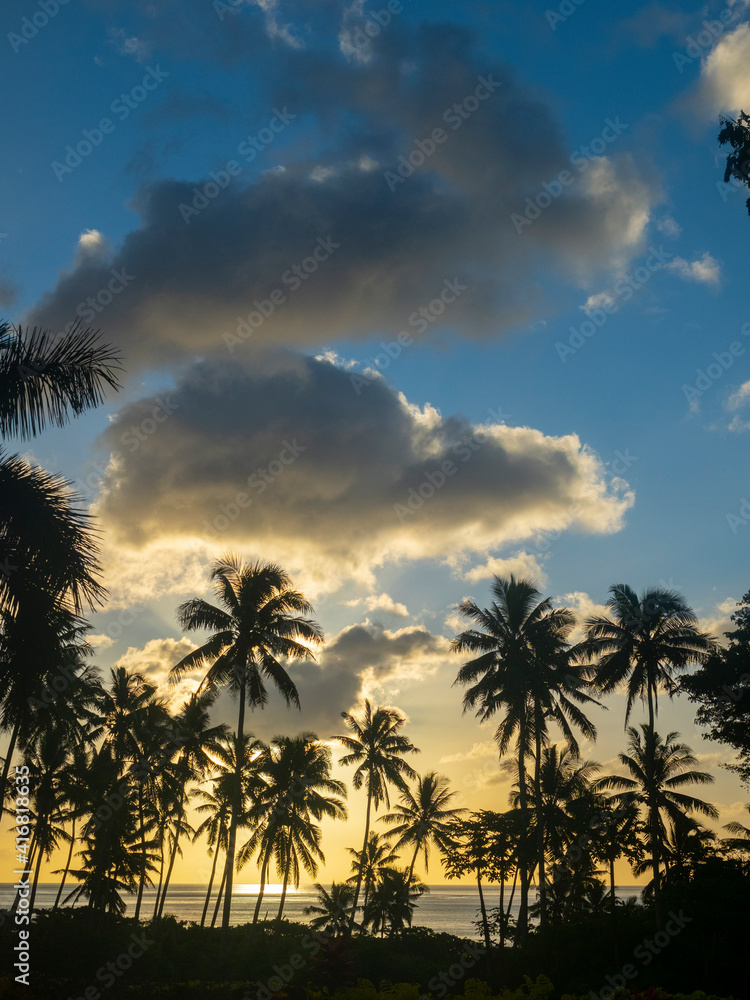 Fiji, Taveuni Island. Silhouetted palm trees in sunset.