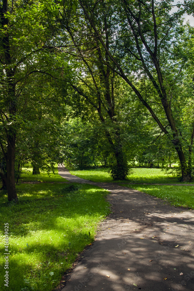 walk in the park walk in the park