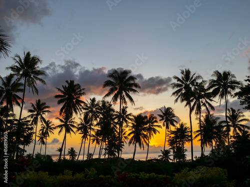 Fiji, Taveuni Island. Beach sunset with palm trees.