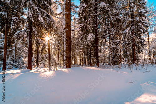 Winter Vogtland