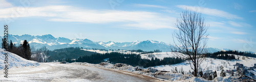 Wide panorama of Tatra mountains , western part, in winter, with a tree and road viewed from Bukowina Tatrzanska in Poland