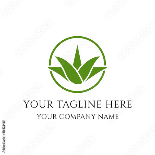 aloe vera logo vector design, aloe vera icon with aloe vera plant