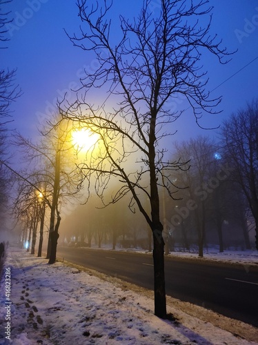 winter in the park © Вікторія Юр'єва
