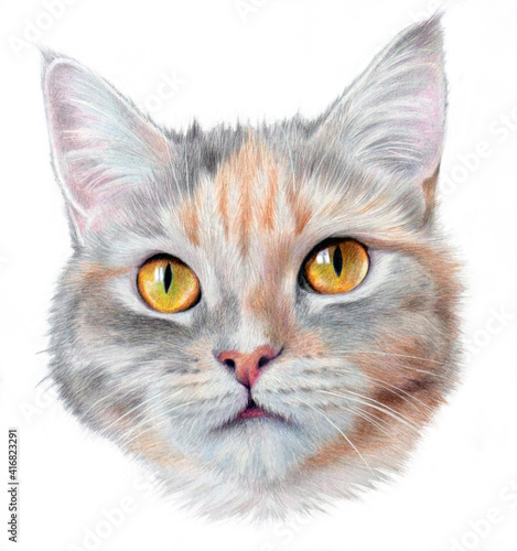 Hyper-realistic portrait of a cat with yellow eyes. Isolated on a white background.