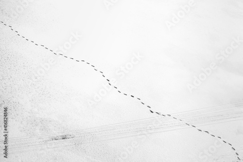 Top view human footprints in snow.  Aerial view of a human footprints on white snow on the frozen lake.