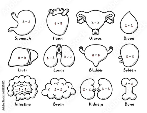 Cute healthy human organs character coloring page outline. Vector line cartoon kawaii character illustration icon. Bone,stomach,heart,uterus,blood,liver,lungs,bladder,splee,intestine,kidneys