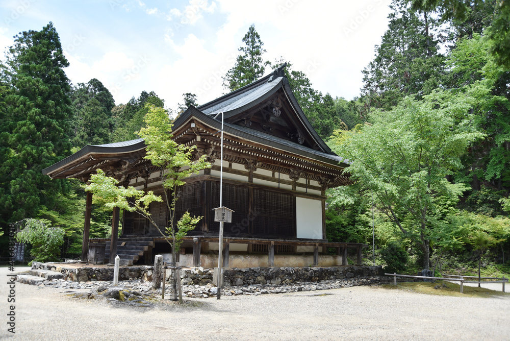 新緑の神護寺　五大堂　京都市高雄