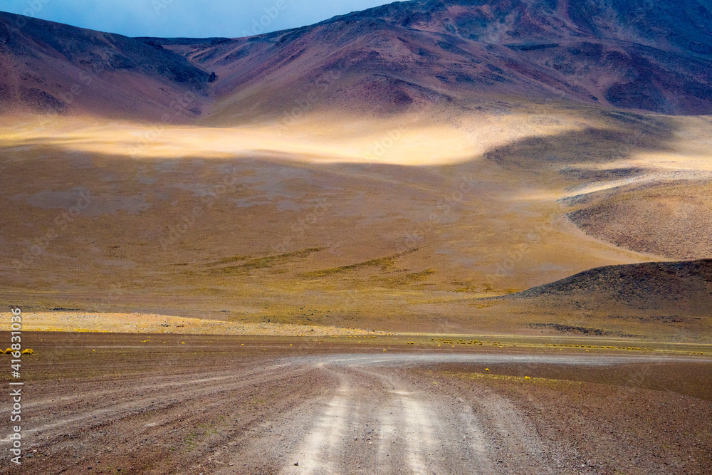 Tracks left by vehicles on desert land, Eduardo Abaroa Andean Fauna National Reserve, Potosi Department, Bolivia