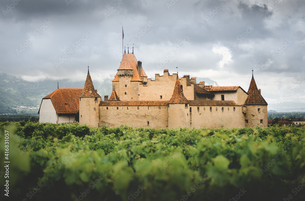 Chateau de Aigle, small winemaking village in the swiss alps, with the medieval castle emerging from the green summer rows of the nearby vineyards and from the cloudy sky