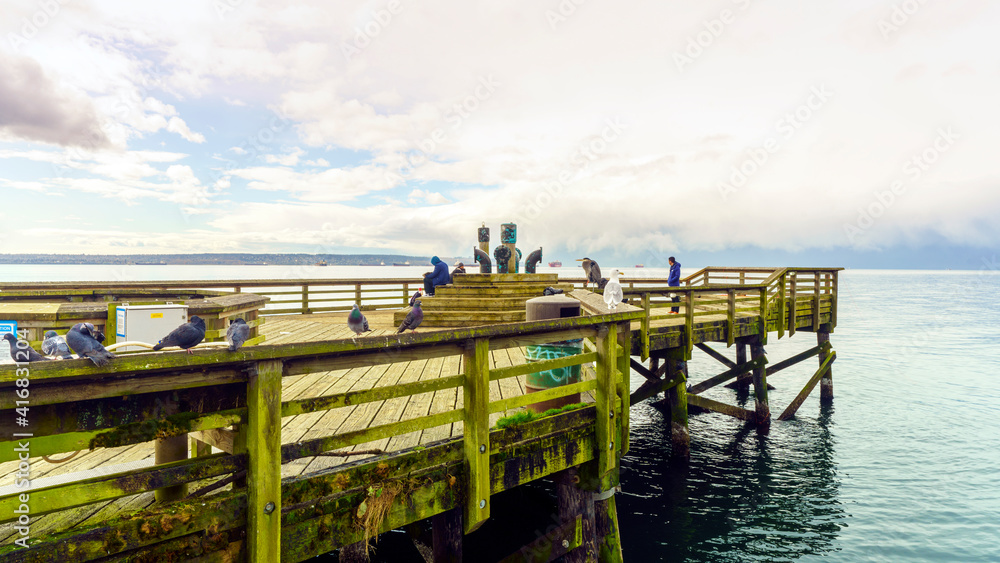 Birds, including heron, perched on railing of BC fishing pier, popular with crabbers - winter Birds, including heron, perched on railing of BC fishing pier, popular with crabbers - winter