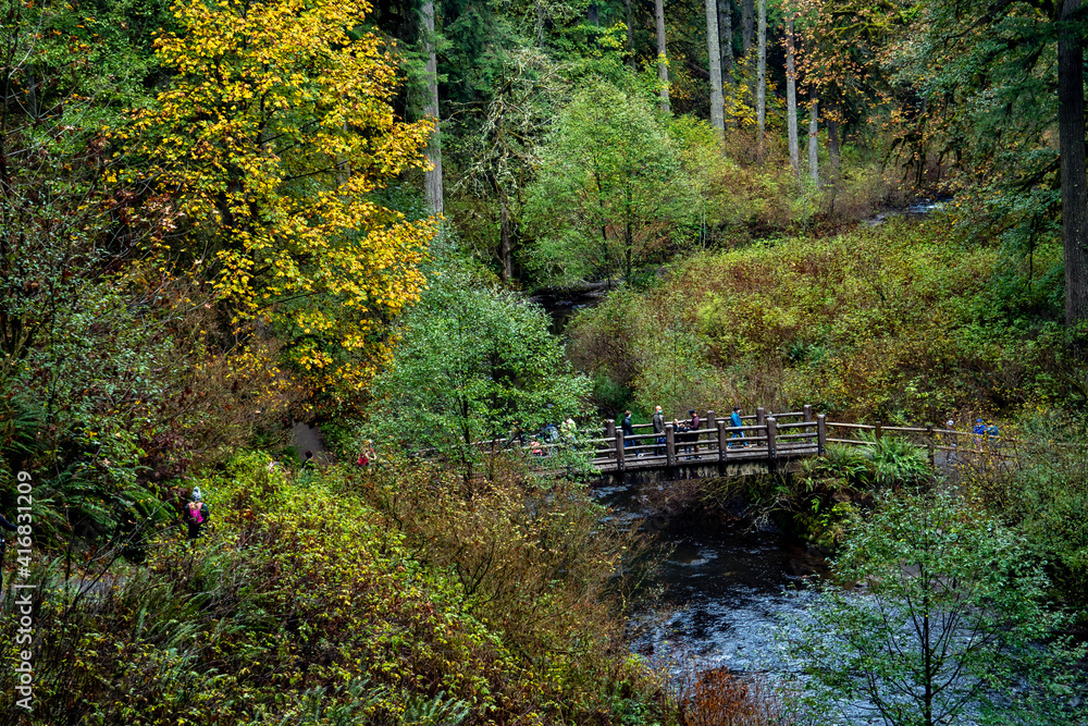A group of hikers are on the bridge over Silver Creek, just below the South Falls, at Silver Falls State Park near Silverton Oregon. A group of hikers are on the bridge over Silver Creek, just below the South Falls, at Silver Falls State Park near Silverton Oregon.
