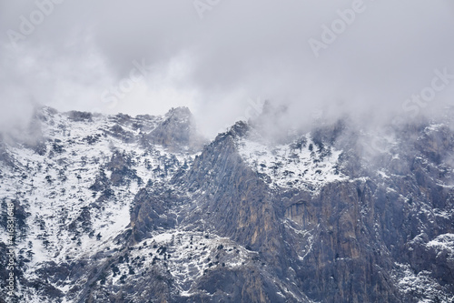 winter alpine landscape - snow-capped rocky cliffs with rare trees hide in cloudy fog © Evgeny
