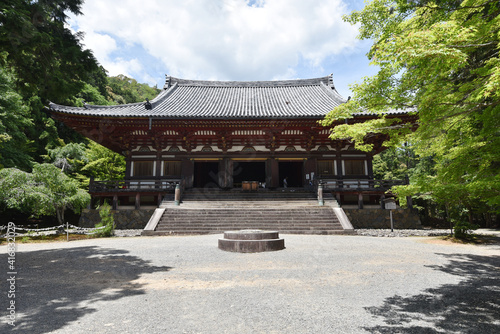 新緑の神護寺 金堂 京都市高雄