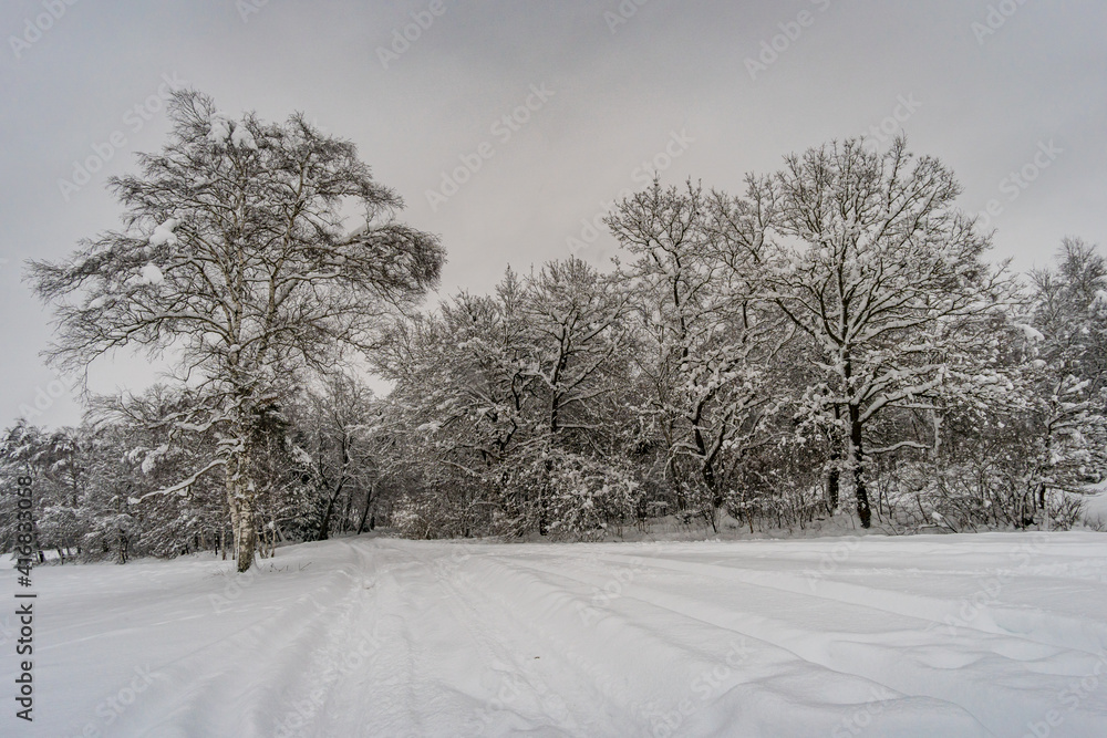 Obraz premium Winder Wonderland in Wilhelmsdorf Pfungen Ried