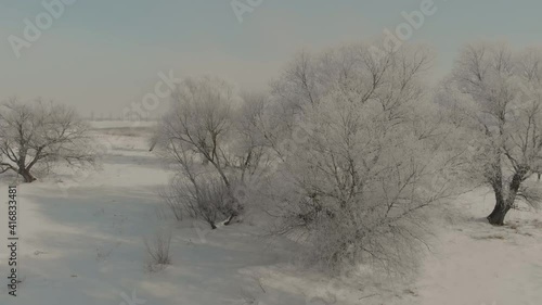 Wallpaper Mural Drone flight over beautiful nature. Trees covered with snow on a frosty day. A winter fairy tale Torontodigital.ca