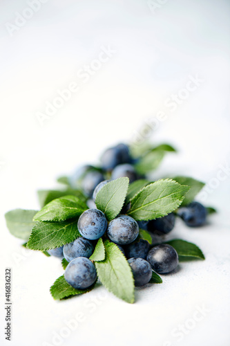 Sloe berries with leaves