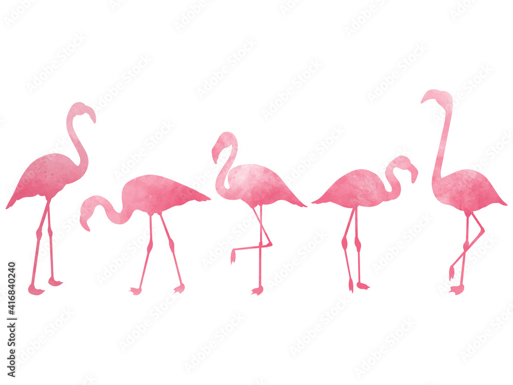 Obraz premium Isolated set of pink flamingo silhouettes. Watercolor minimalist exotic birds. Tropical summer design for prints.