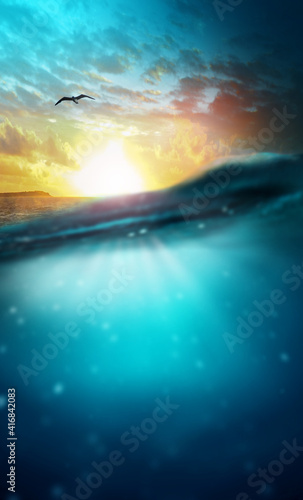 Sunset over the sea and underwater world, with seagull and clouds - background