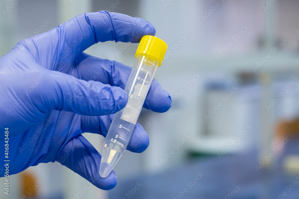 Close-up, a large closed test tube with a clear liquid in the scientist's hand. New drug sample. Close-up, a large closed test tube with a clear liquid in the scientist's hand. New drug sample.