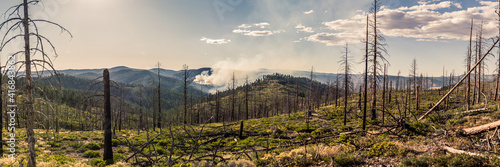 Fotografija Panorama shot of smoke from nature forest fire and burned trees in Utah at summe