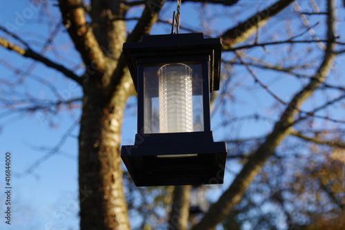 Lantern hanging on apple tree branch in autumn garden. Closeup