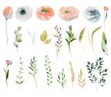 Set of watercolor spring pink and red wildflowers and green branches; hand painted isolated illustrations on a white background
