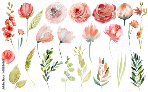 Set of watercolor spring plants: pink and red roses, wildflowers and green branches; hand painted isolated illustrations on a white background