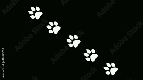 Paw prints of animal on a black background. An abstract backdrop for the writing of the text.