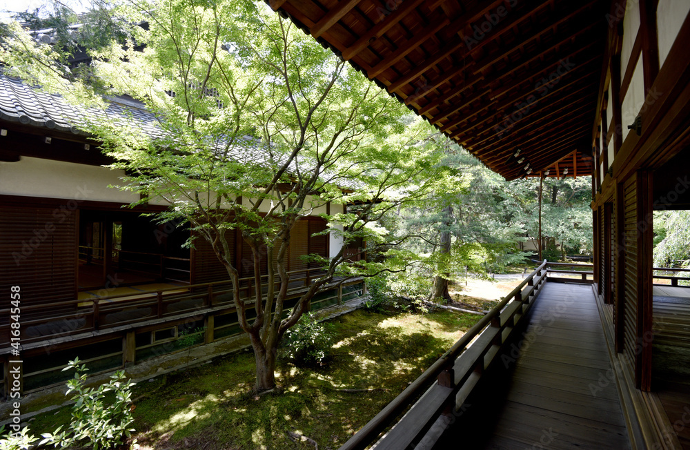 Fototapeta premium 青蓮院門跡 宸殿から小御所を望む 京都市