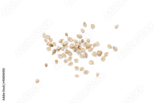 Принти на полотні group of tomato seeds isolated on white background