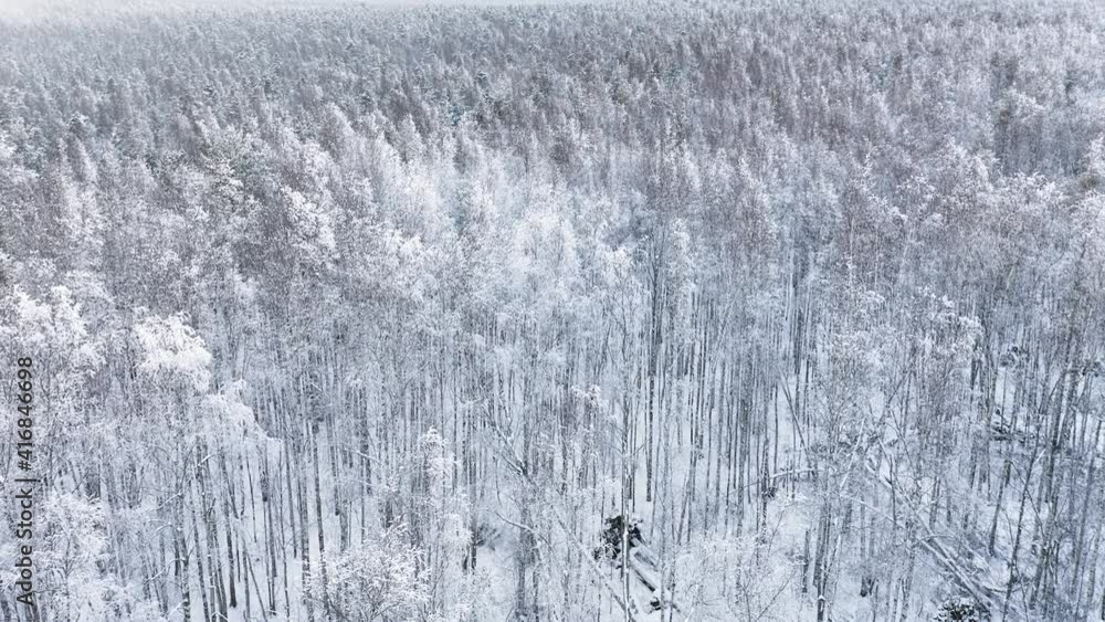Slow flight over beautiful hoarfrost covered white winter forest at sunset. Camera moving forward, aerial angle view in 4K Slow flight over beautiful hoarfrost covered white winter forest at sunset. Camera moving forward, aerial angle view in 4K