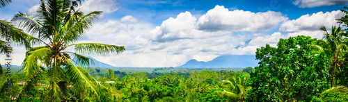 Beautiful jungle forest in Bali, Indonesia