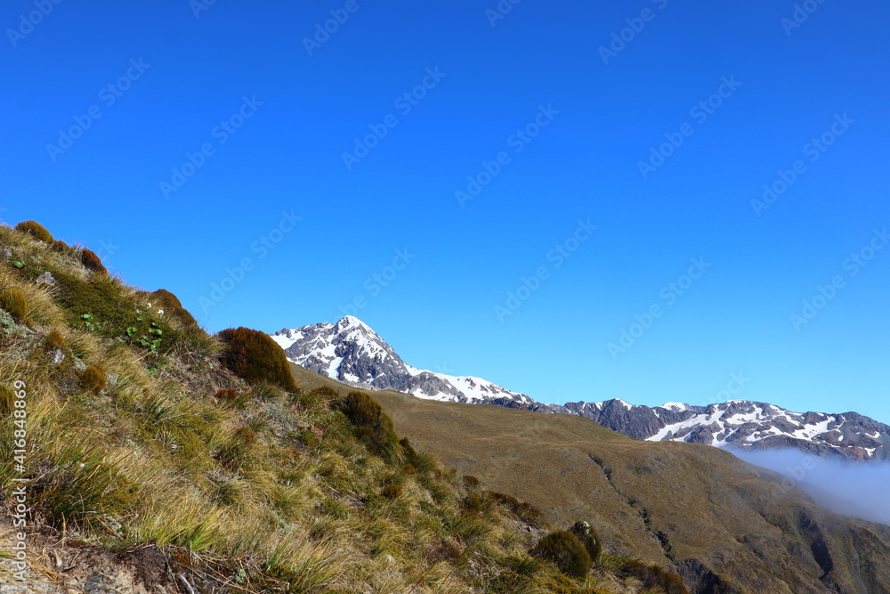 Snow mountain peaks behind alpine grasses tussock in New Zealand in Arthur's Pass National Park