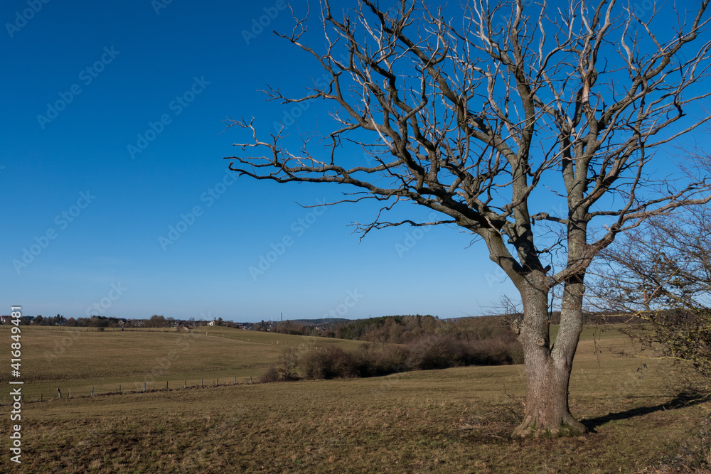 Fototapeta premium Die Natur wartet auf den Frühling