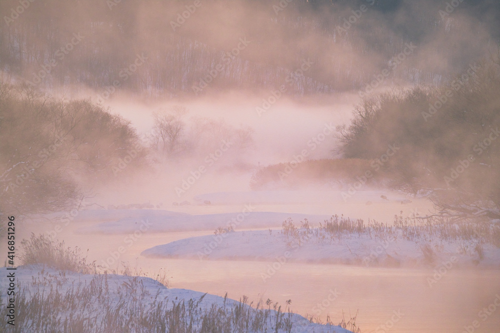 Fototapeta premium 音羽橋