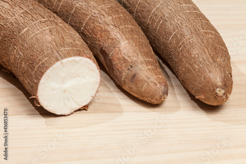 Manihot esculenta (Yuca, manioc, guacamota) Cassava raw tuber. photo