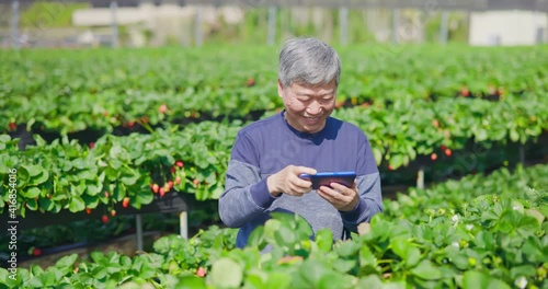 Wallpaper Mural agriculture technology concept Torontodigital.ca