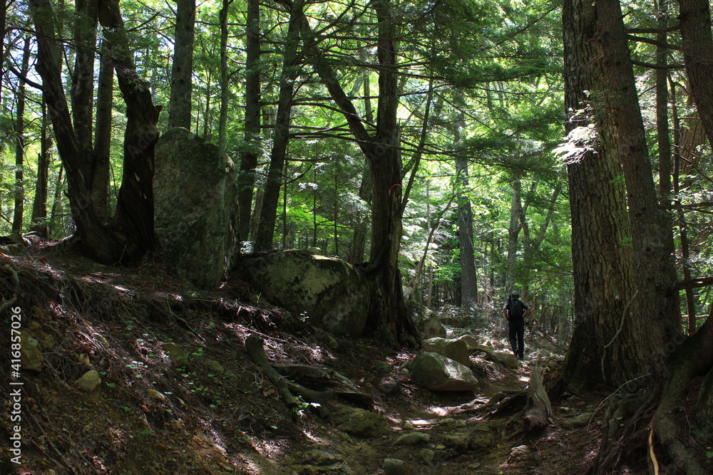 瑞牆山(みずがきやま) 登山道の景色。奥秩父・山梨県北斗市にある山、百名山の一つ。花崗岩で形成され、頂上付近は岩がむき出しとなっている、 瑞牆山(みずがきやま) 登山道の景色。奥秩父・山梨県北斗市にある山、百名山の一つ。花崗岩で形成され、頂上付近は岩がむき出しとなっている、