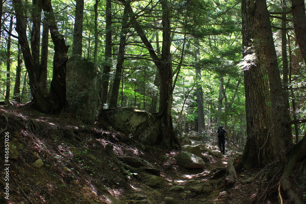 瑞牆山（みずがきやま）　登山道の景色。奥秩父・山梨県北斗市にある山、百名山の一つ。花崗岩で形成され、頂上付近は岩がむき出しとなっている、