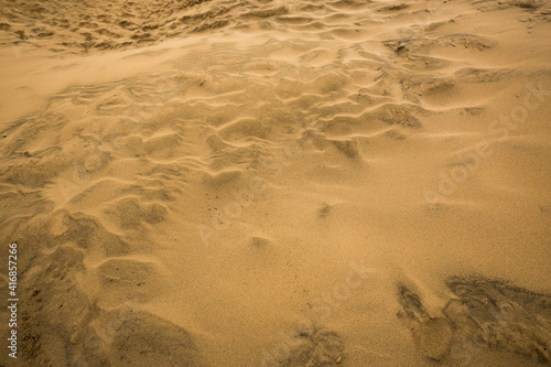 Sand texture close-up in Oregon dunes