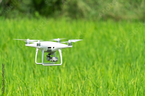 Drone is flying on the green paddy rice field.