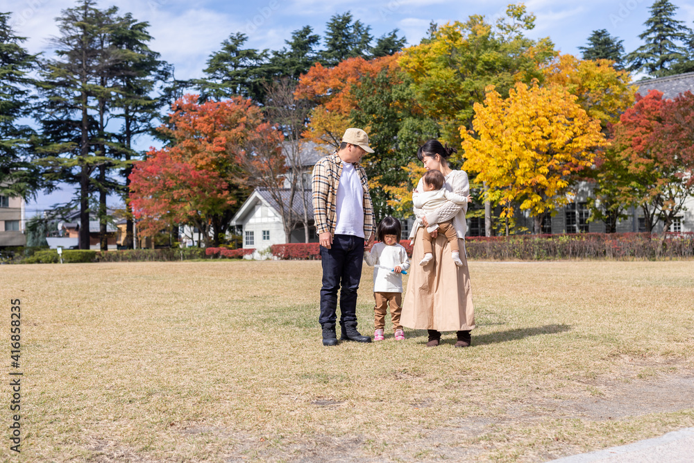 Fototapeta premium 秋の公園を散歩する家族・ファミリー 