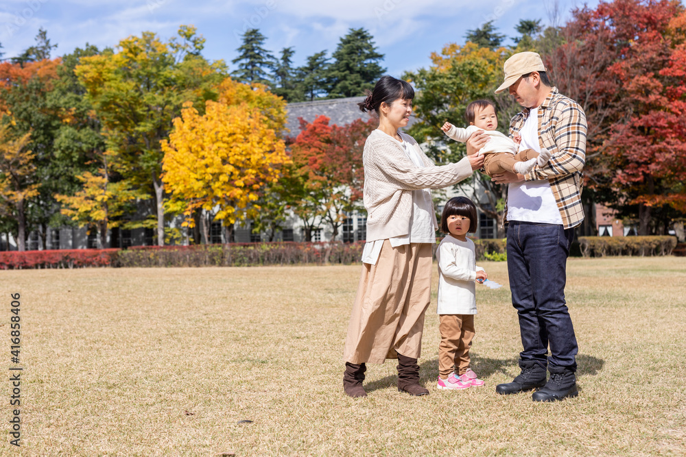 Fototapeta premium 秋の公園を散歩する家族・ファミリー 