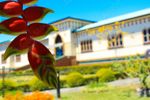 Billede på lærred Heliconia in front first plane with beautiful blurred garden and antique edifica