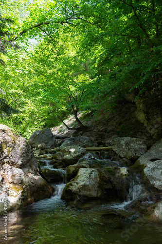 The Grand Canyon of the river Auzun-Uzen  Crimea.