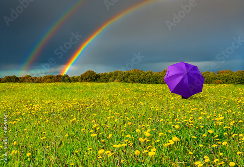 Spring blossoming dandelion field with lonely umbrella under cloudy sky with ...