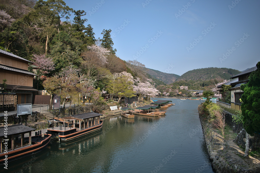 Spring on the Kamo River, Kyoto and some cherry trees Spring on the Kamo River, Kyoto and some cherry trees