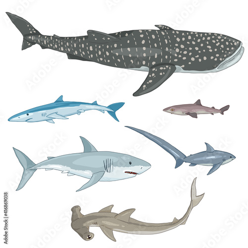 Vector Set of Cartoon Sharks.